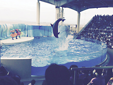 新江ノ島水族館